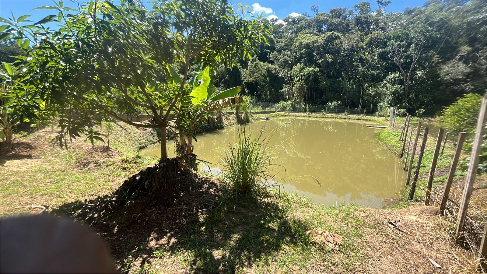 Lago