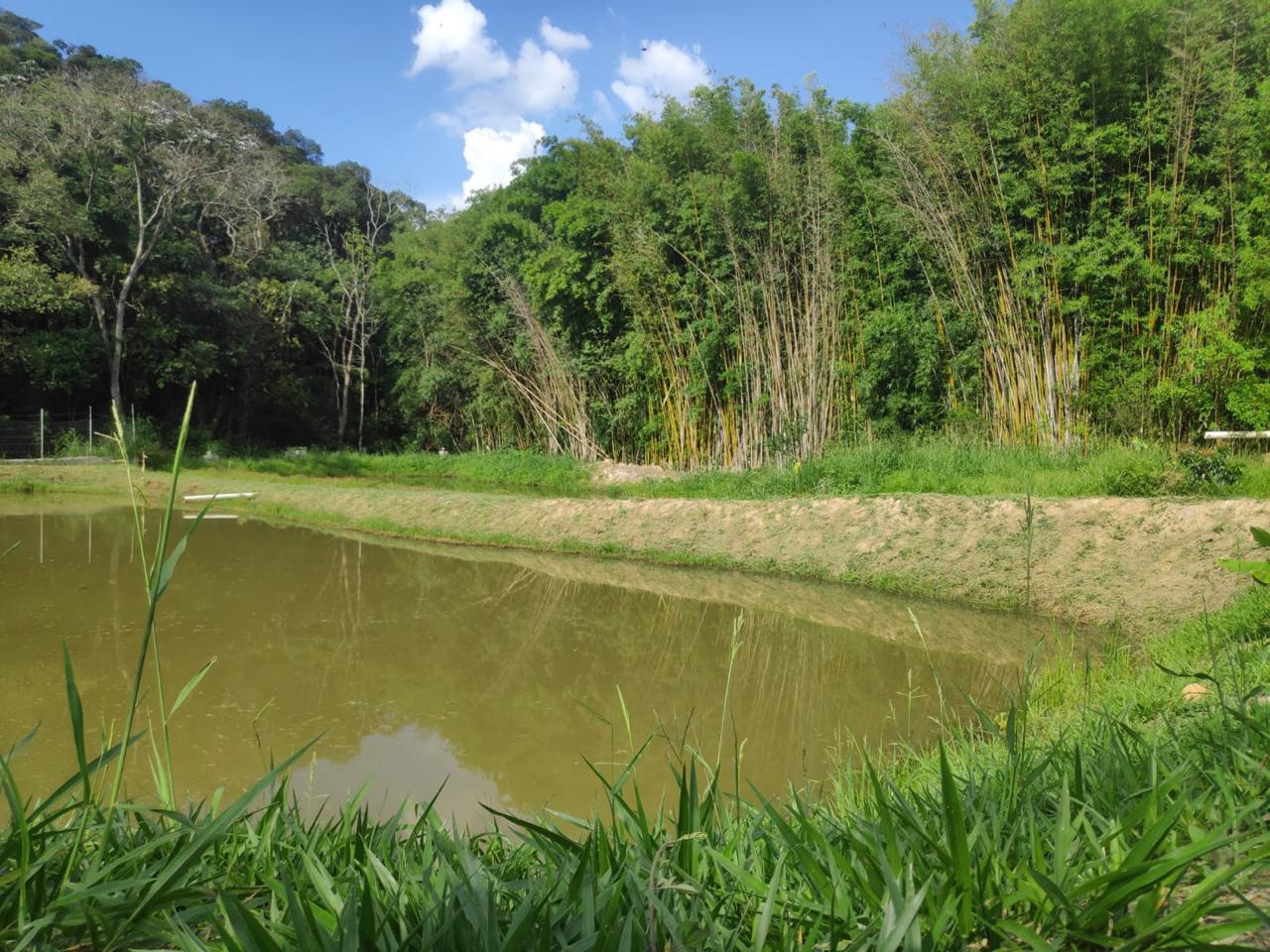 Campo de futebol gramado